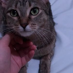 Meet your Posher, Isabel